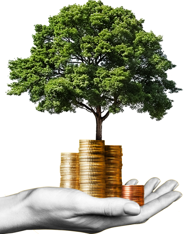 image_group_02 https://sshospitalities.com/wp-content/uploads/2024/09/image_group_02.png