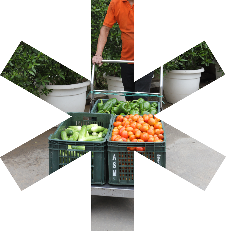 Mask_group_imgg https://sshospitalities.com/wp-content/uploads/2025/10/Mask_group_imgg.png